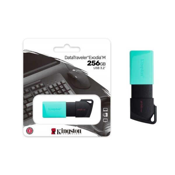 DTXM/256GB