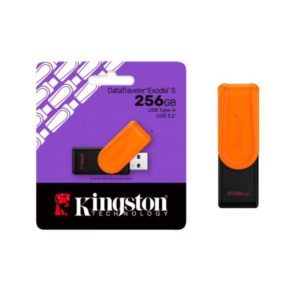 DTXS/256GB