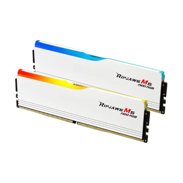 F5-6000J3636F16GX2-RM5NRW