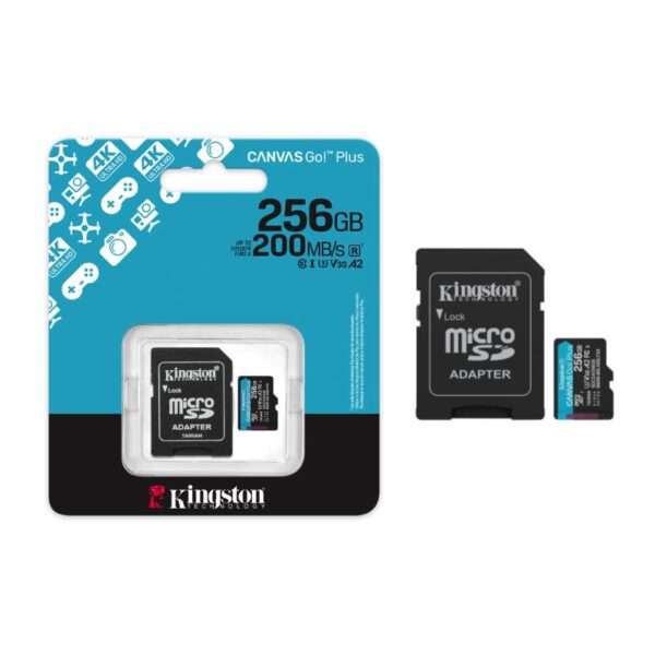 SDCG4/256GB