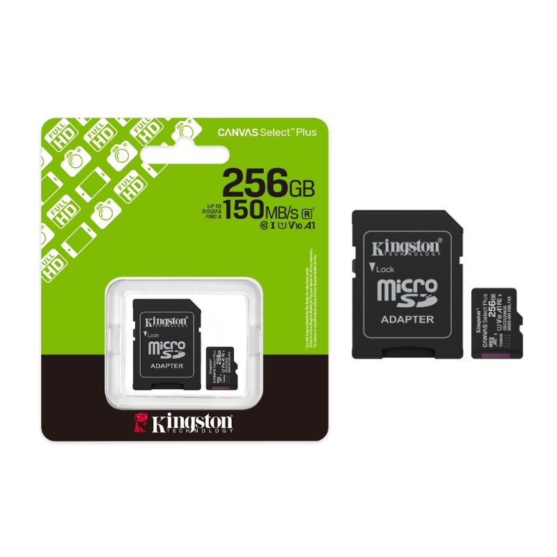 SDCS3-256GB