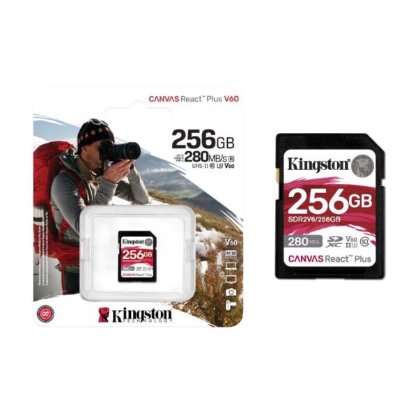 SDR2V6/256GB