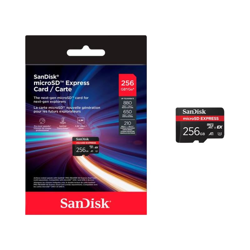 SDSQXFN-256G-GN4NN