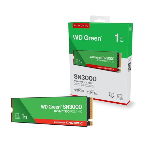 WDS100T5G0E